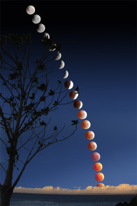 Lunar-Eclipse-Verticle-Montage